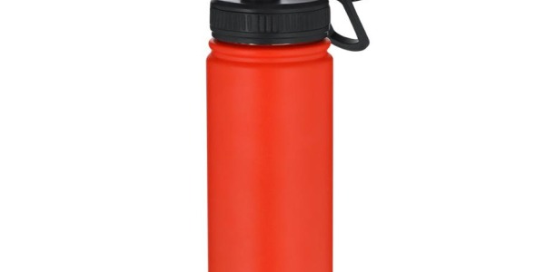 La gourde thermique éco-responsable de 550 ml qu’il vous faut au quotidien